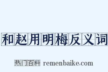 和赵用明梅反义词是什么意思的图片